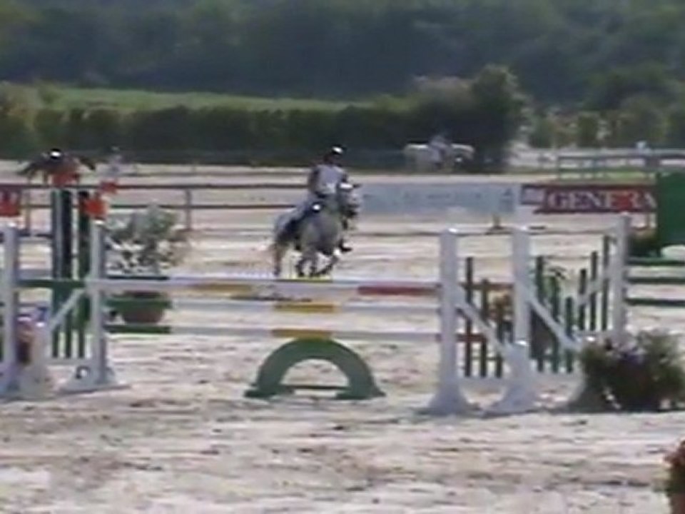 obiwan du reuil, sologn' pony, aout 2011