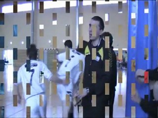 AVH coupe de france 2010-2011