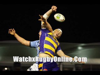 watch Northland Vs Hawkes Bay rugby union live stream