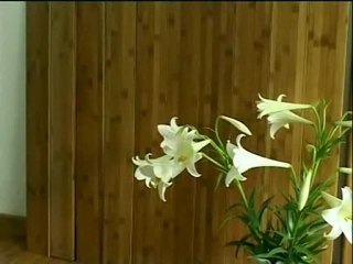 HY - PINCTADALI - VIETNAM BAMBOO FLOORING