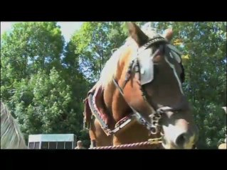 Cela se passe en Pays de Savoie : "Vincent Rolland"