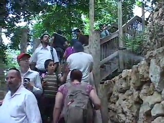 How Israeli Zoo Animals Cool Off in Summer