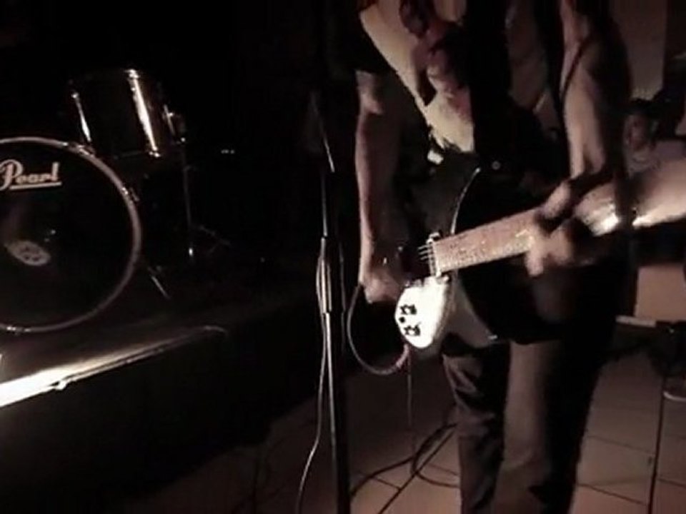 Birds In Row - Chat noir - Caravan Serail - Mundicore