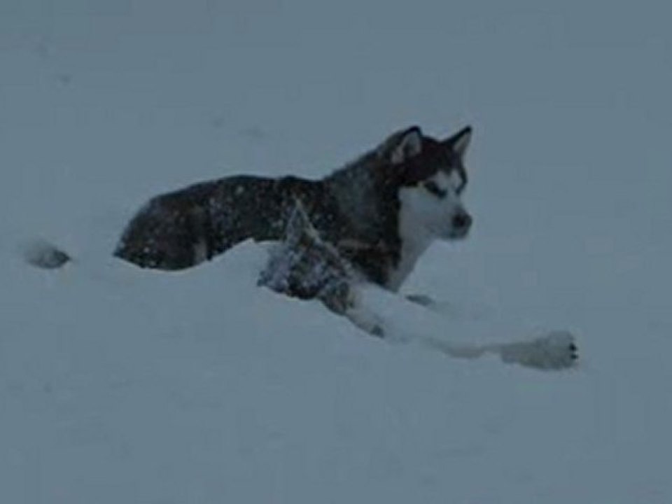 8 below 6