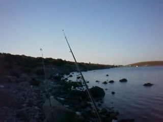 www.oltamisina.com