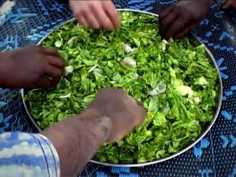 Bande annonce Semences d'autonomie