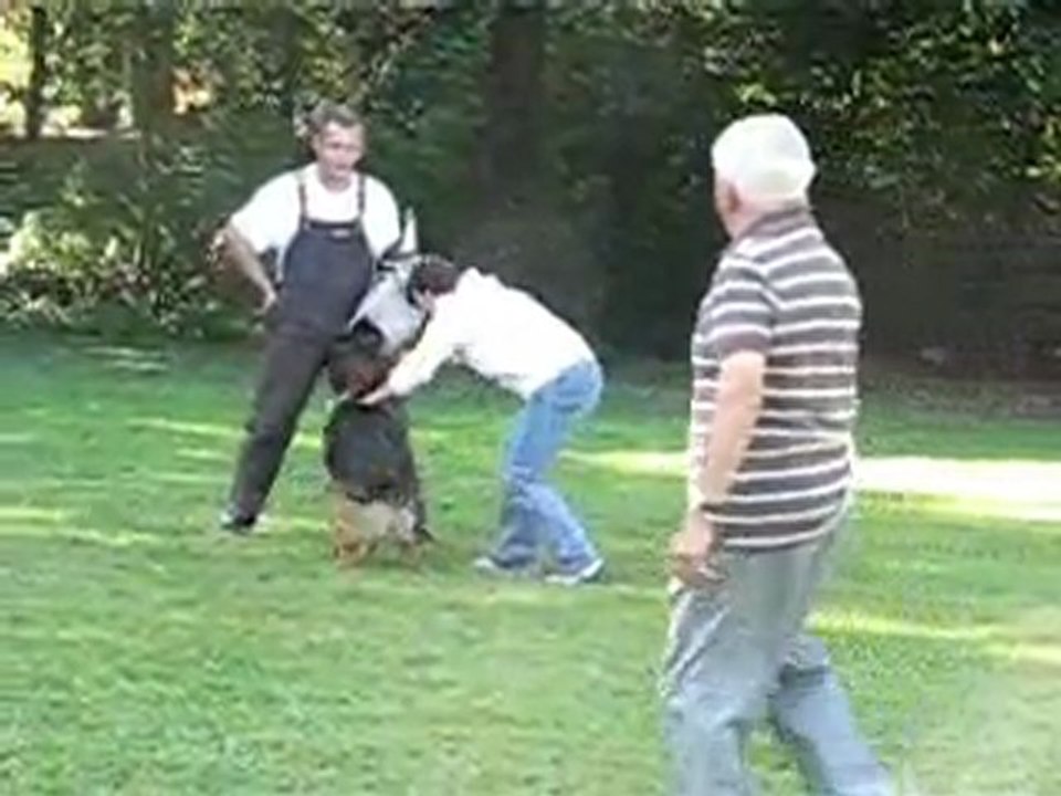 DOLCE GABANNA du SAVAGE GARDEN (Korung)