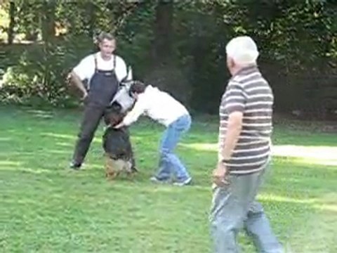 DOLCE GABANNA du SAVAGE GARDEN (Korung)