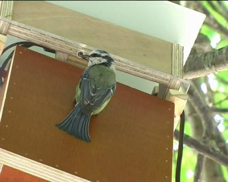 Le printemps du développement durable 2011