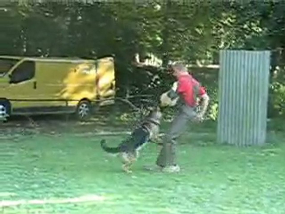 TAU de FOREVER de SAVAGE GARDEN