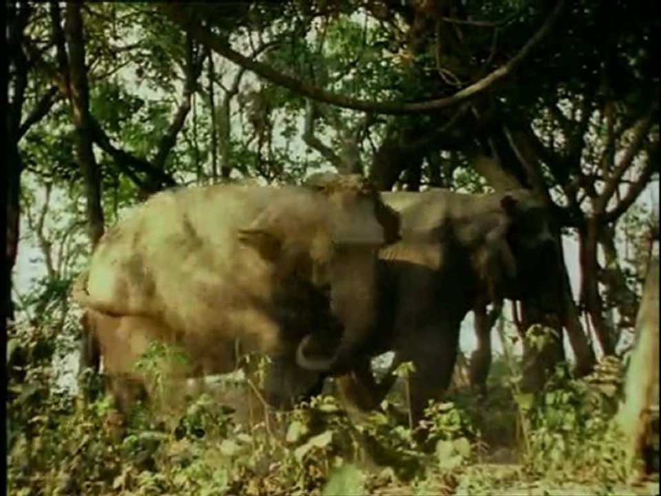 Enigma - Seven Lives