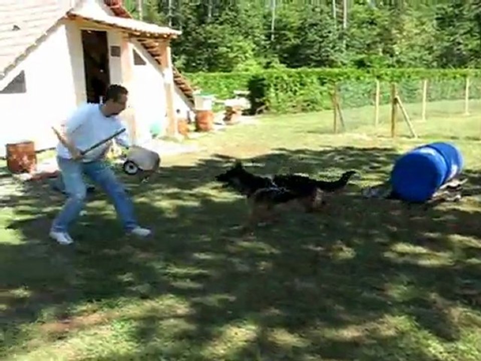 DOLCE GABANNA de SAVAGE GARDEN (débourrage manchette frabo)