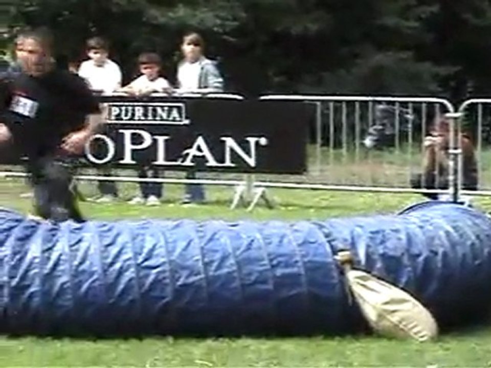 Distroff 2011 (2)