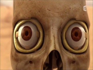 Docu_France5_Mon corps ce héros - La vue_Mar 19 avr 2011