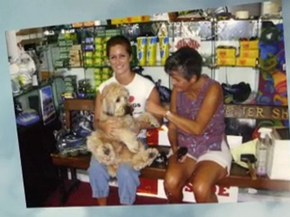 Bike Rental Newport Beach CA Balboa Bikes N Beach Stuff