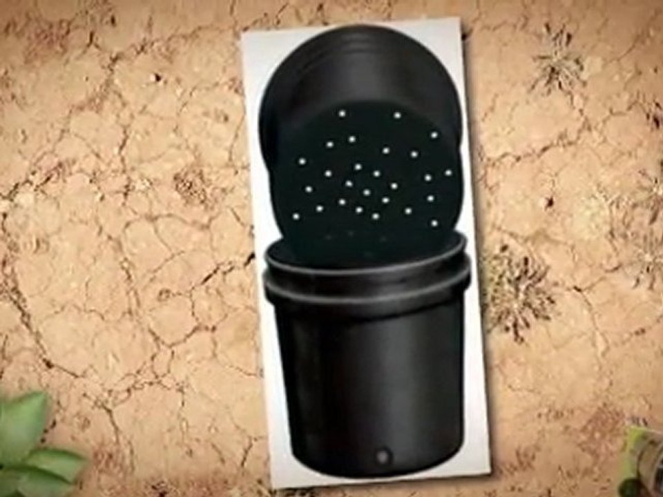 1 Hydroponic Growing Systems