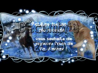 PBM plus qu'un forum