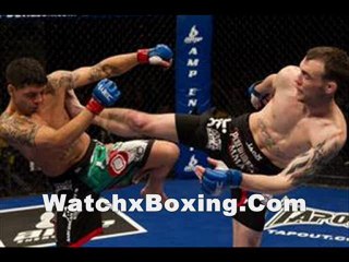 watch boxing streaming live