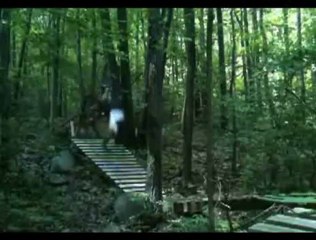 Mountain Biker stürzt kopfüber in Wald Fail