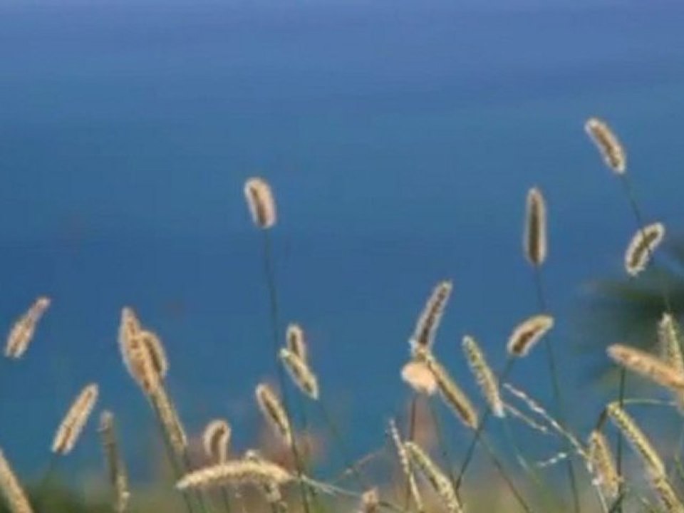 'op['po[op[op[i909090909090909090909090909090909090909090909