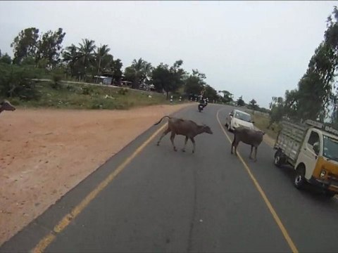 Trajet Pondicherry - Mahabalipuram à moto