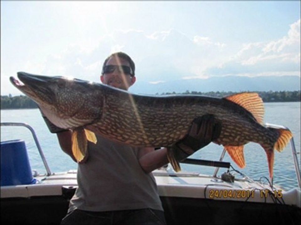 Pike season 2011 ^^