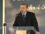 Erdoğan'a bereket ağacı verildi