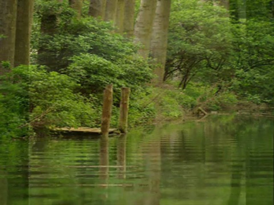 Yunus Bulat-Nazım Hikmet Bence şimdi sende herkes gibisin
