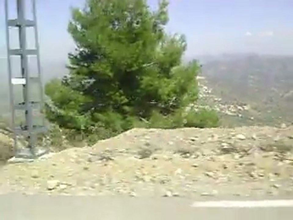 MOV01005