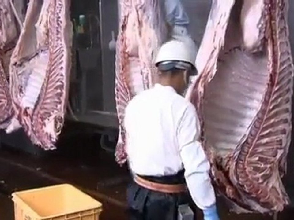 Japan lifts final beef bans