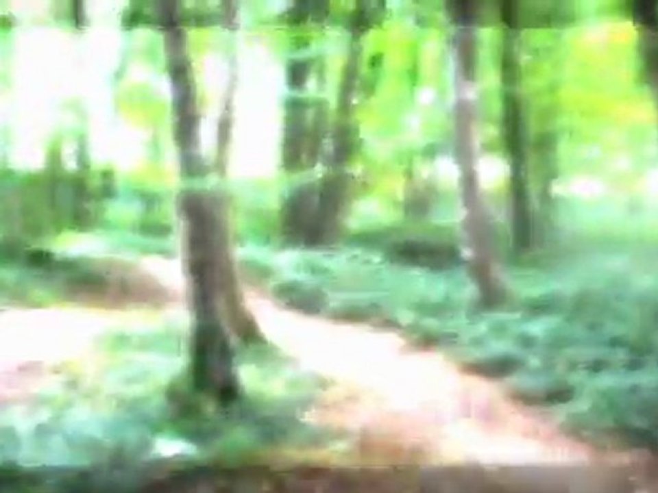 sorti quad au bois de croix fonsommes et d itancourt