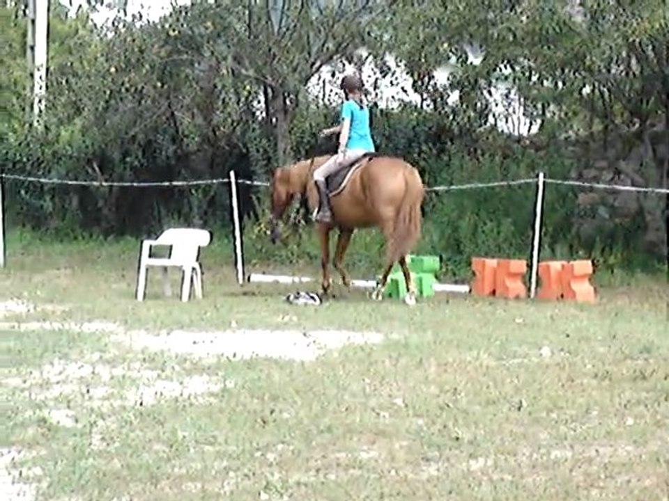 Ravel extension d'encolure 25 août (1)