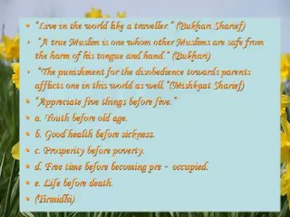 Some Islamic Teachings