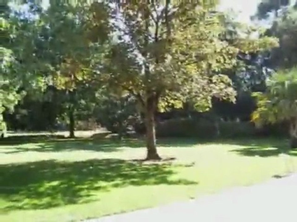 Promenade dans hyeres(1)