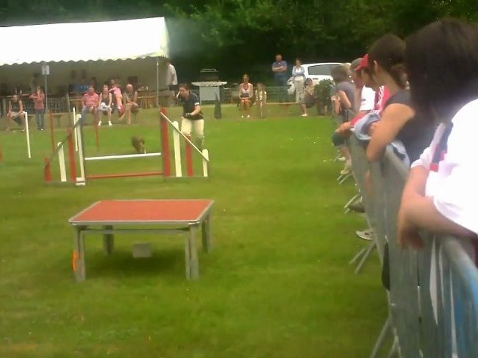 Charlène et celtic - concours de quimper