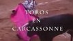 Toros en Carcassonne ! La nouvelle émission de Tvcarcassonne pour vous faire vivre et revivre les jours de corrida de la Feria :