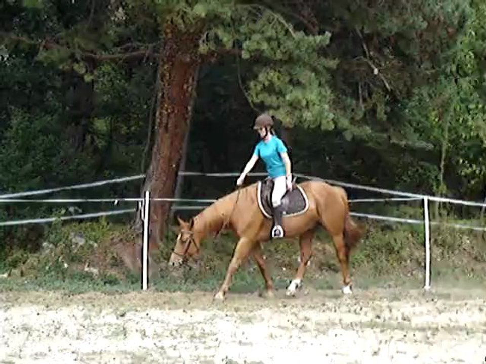 Ravel extension d'encolure 25 août (3)