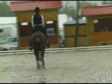 Championnat de France Dressage Lamotte 2011