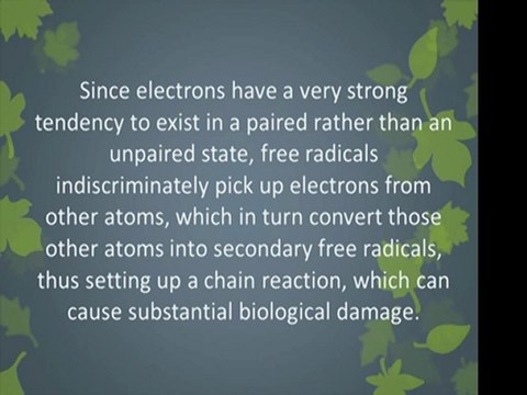 Antioxidants Provide Important Weight Loss Assistance