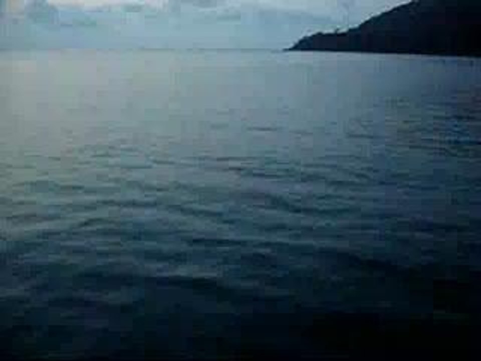 KIF_1032