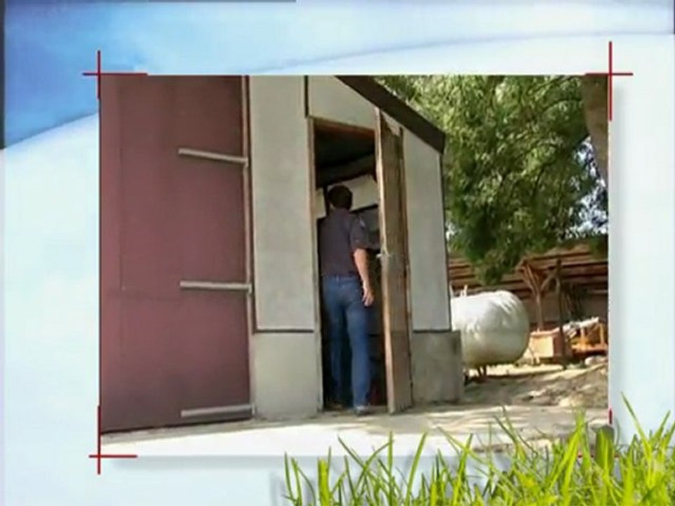 Oies et canards : des conditions d'élevage précises