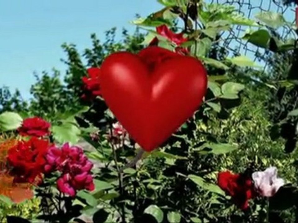 Jedna jest róża jedna jest miłość-Kapela Górole