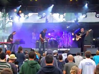 Chien à plumes 2011 Eleazar