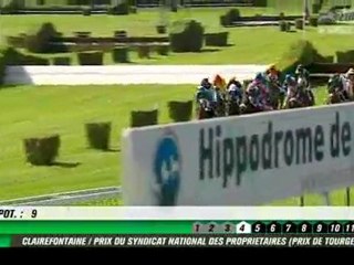 QUINTE 25 AOUT 2011 A CLAIREFONTAINE ( haies )