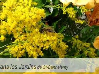 Balade autour de St-Barthélemy-de-Bussèire en Périgord Vert.