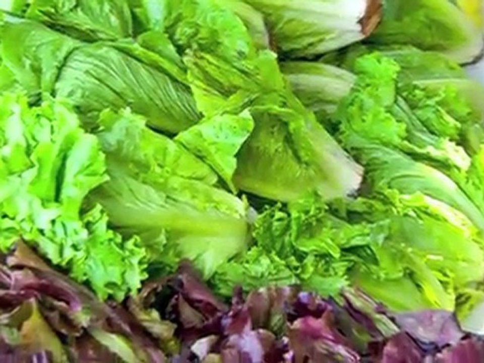 Growing Our Future at the Baldwin Center