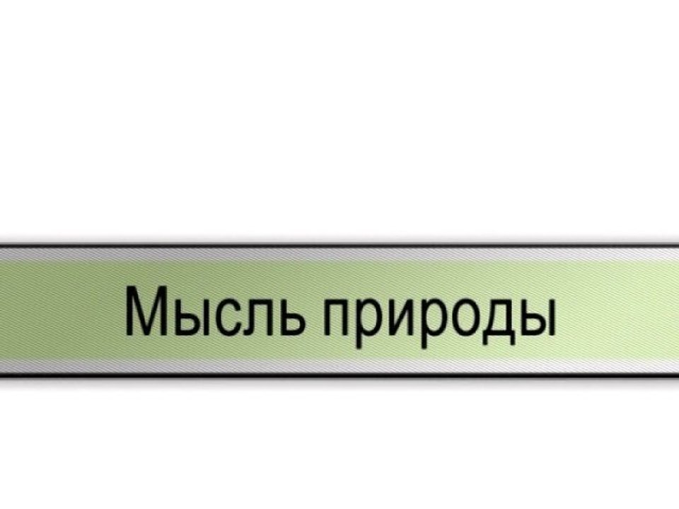 Мысль природы