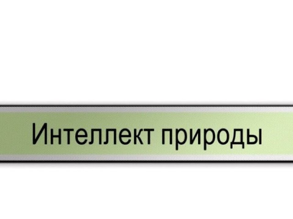 Интеллект природы