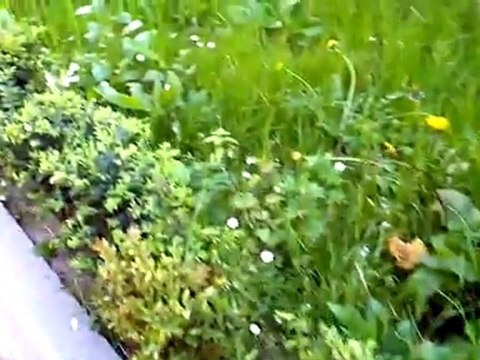 Video test by Acer Iconia Tab A500 (engineering sample) - Android 3.0 Honeycomb