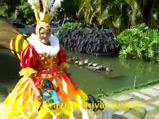 How to film samba in Rio: shooting Carnival in Brazil